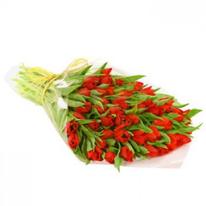 40 szál piros tulipán